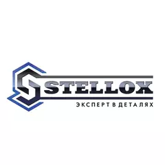 Амортизатор задний правый газовый для BMW X5 E70/X6 E71 08 42150039SX STELLOX