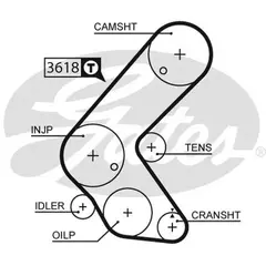 Ремень грм Gates 5563XS - Gates арт. 5563XS